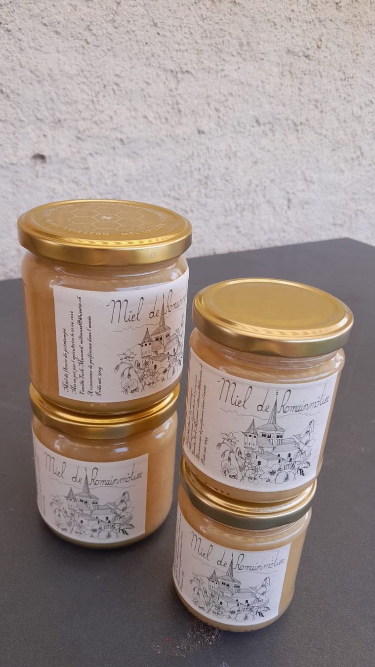 Vinyles: Miel de printemps – Neuf (Voir description) à Romainmôtier par MammouthPoilu
