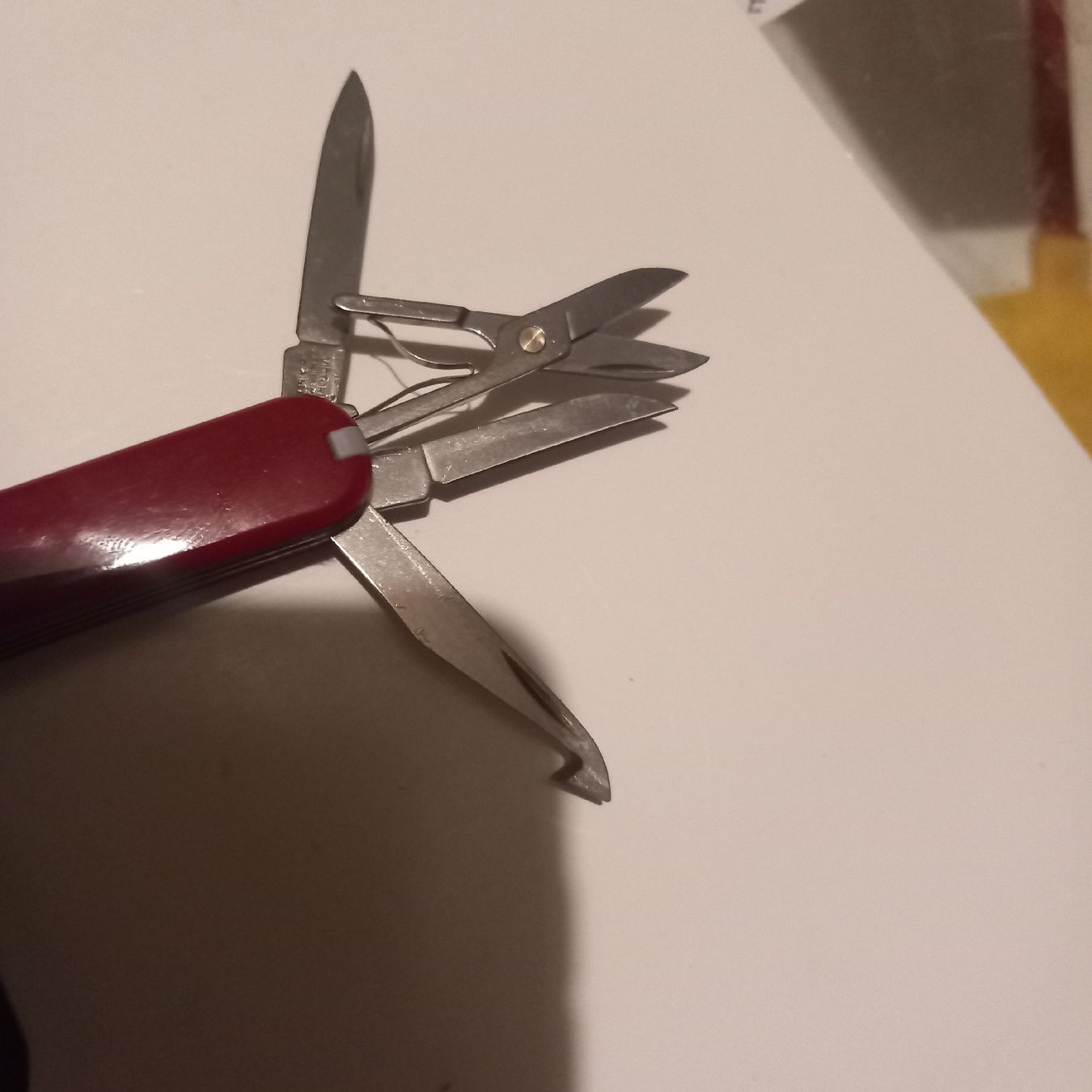 Victorinox Coltelli tascabile: Victorinox MiniChamp Rot sackmesser  – Usato da Rebstein venduto da Zauberwelt14 2