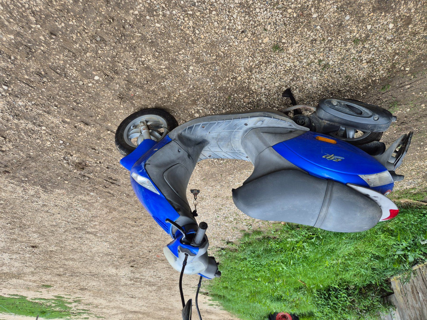 Piaggio Scooter: Scooter piaggio – Difettoso da Ocourt venduto da jon_dm8x 3