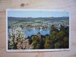 Schloss Buonas gegen Zug, 12482
