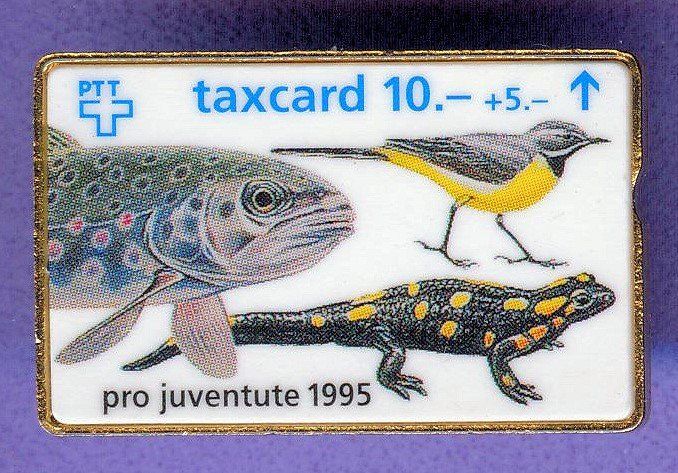 Placchette & Badge: PTT   Taxcard  pro juventute – Usato da Winterthur venduto da Sammleroase