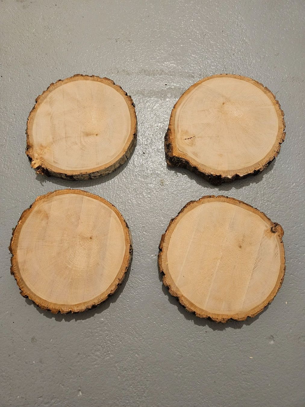 Articoli in legno: Rundholzscheiben/Baumscheiben – Nuovo (secondo la descrizione) da Brunnen venduto da kent03 1