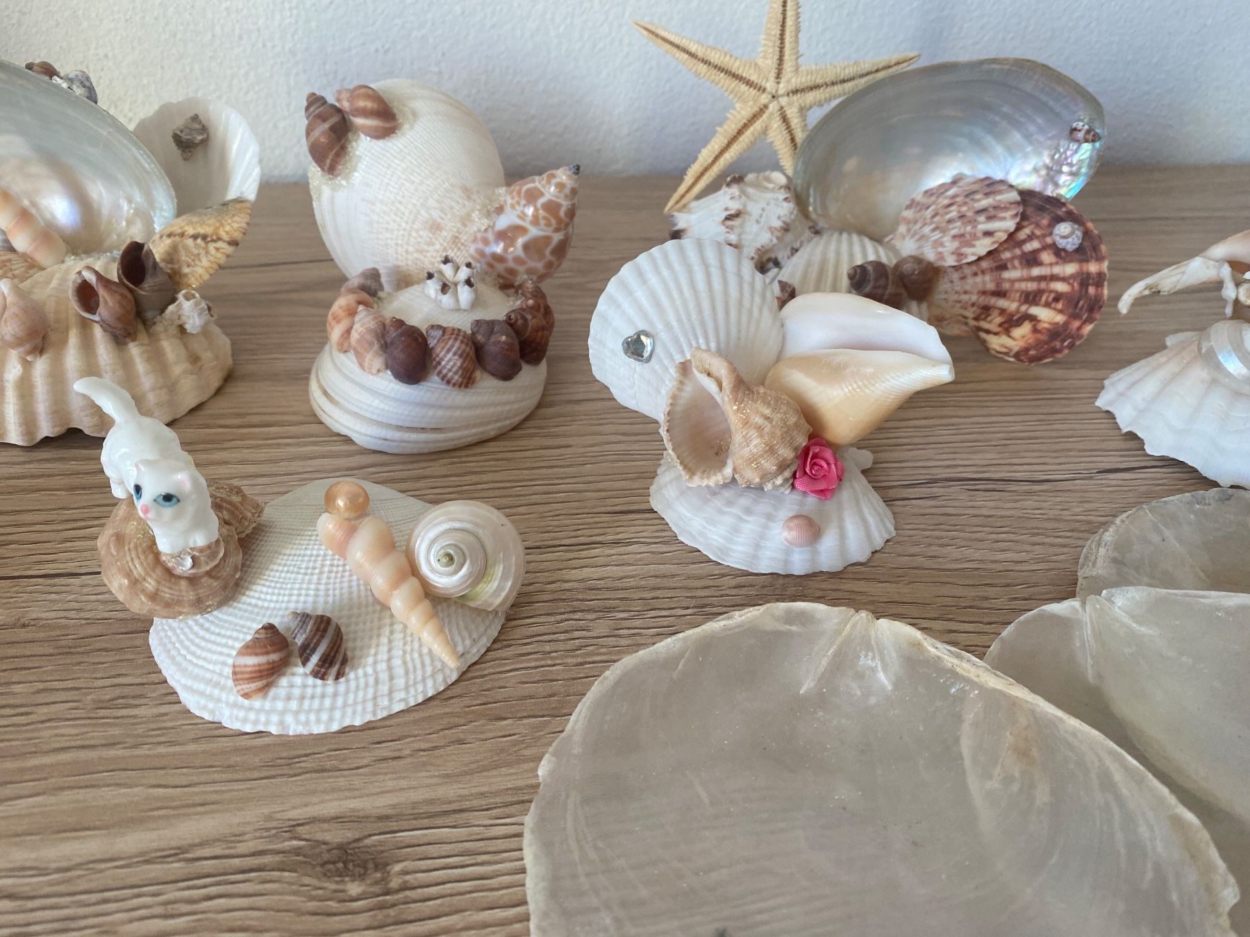 Alle Dekorationen: Dekorative Muscheln – Gebraucht aus Glattbrugg von RD-Shop 5