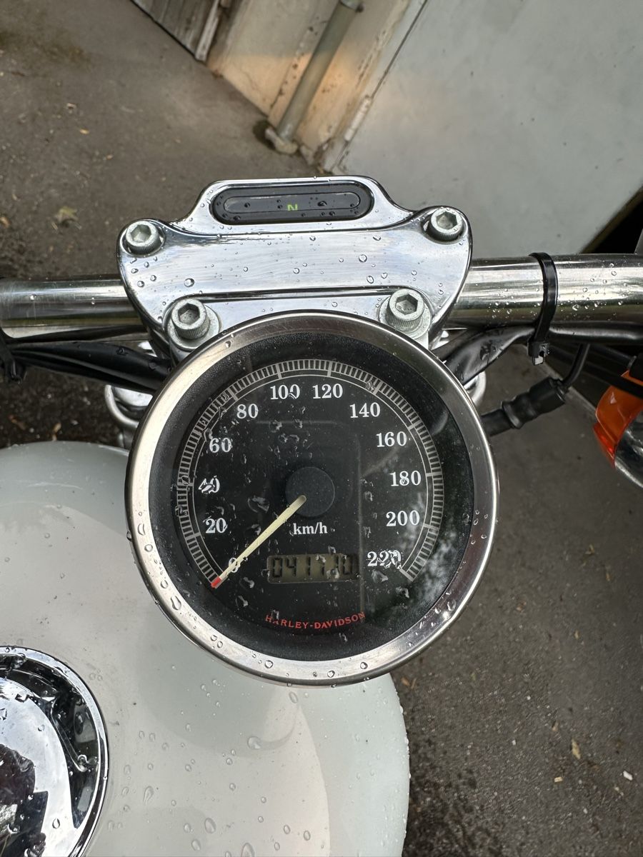 Harley-Davidson Altro: Motorrad Harley 883 – Usato da Aarau venduto da rhe_vdj5 4