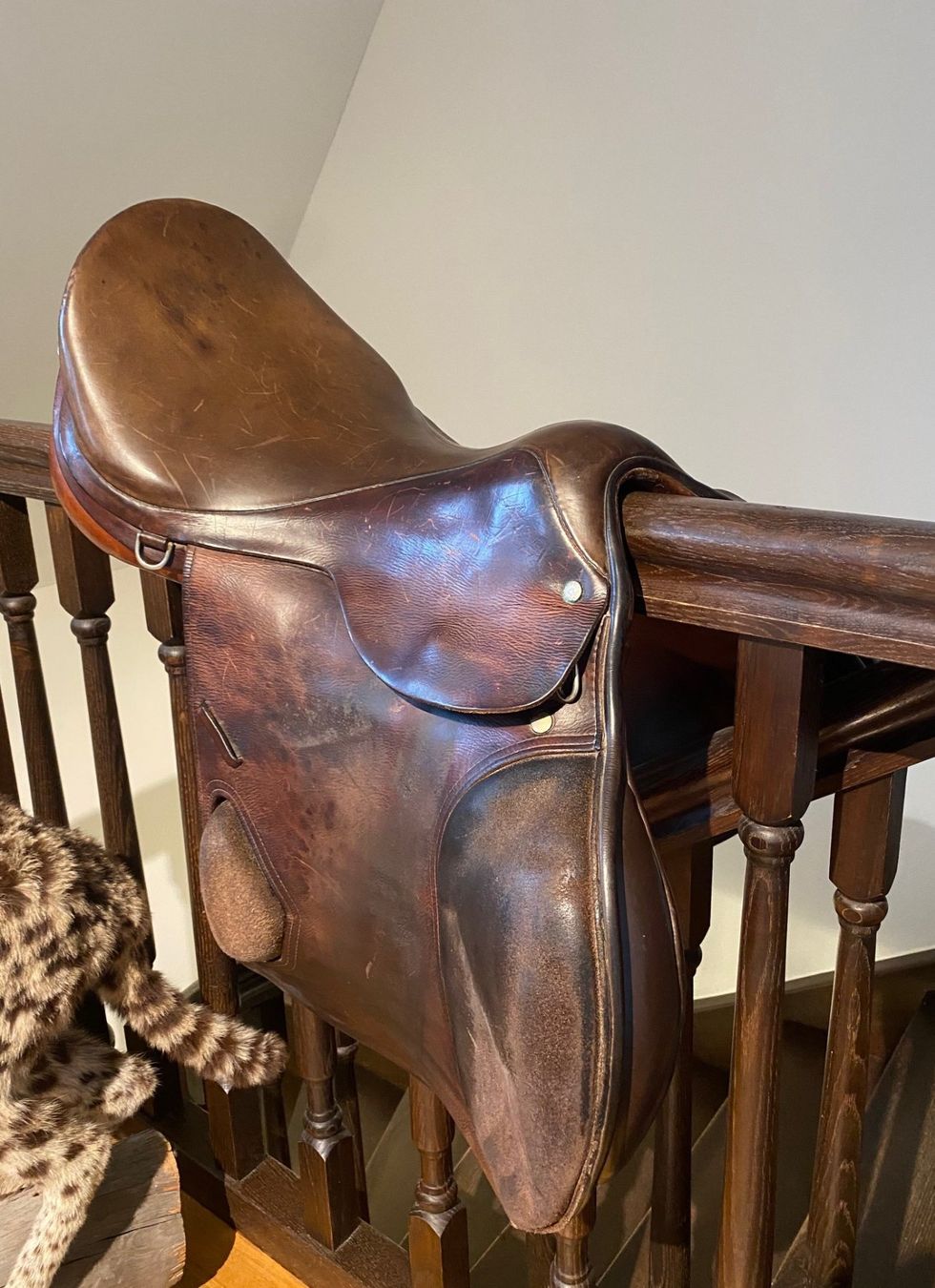 Selle & Accessori: Reitsattel  von Spirig St. Gallen – Usato da Diepoldsau venduto da sigu911