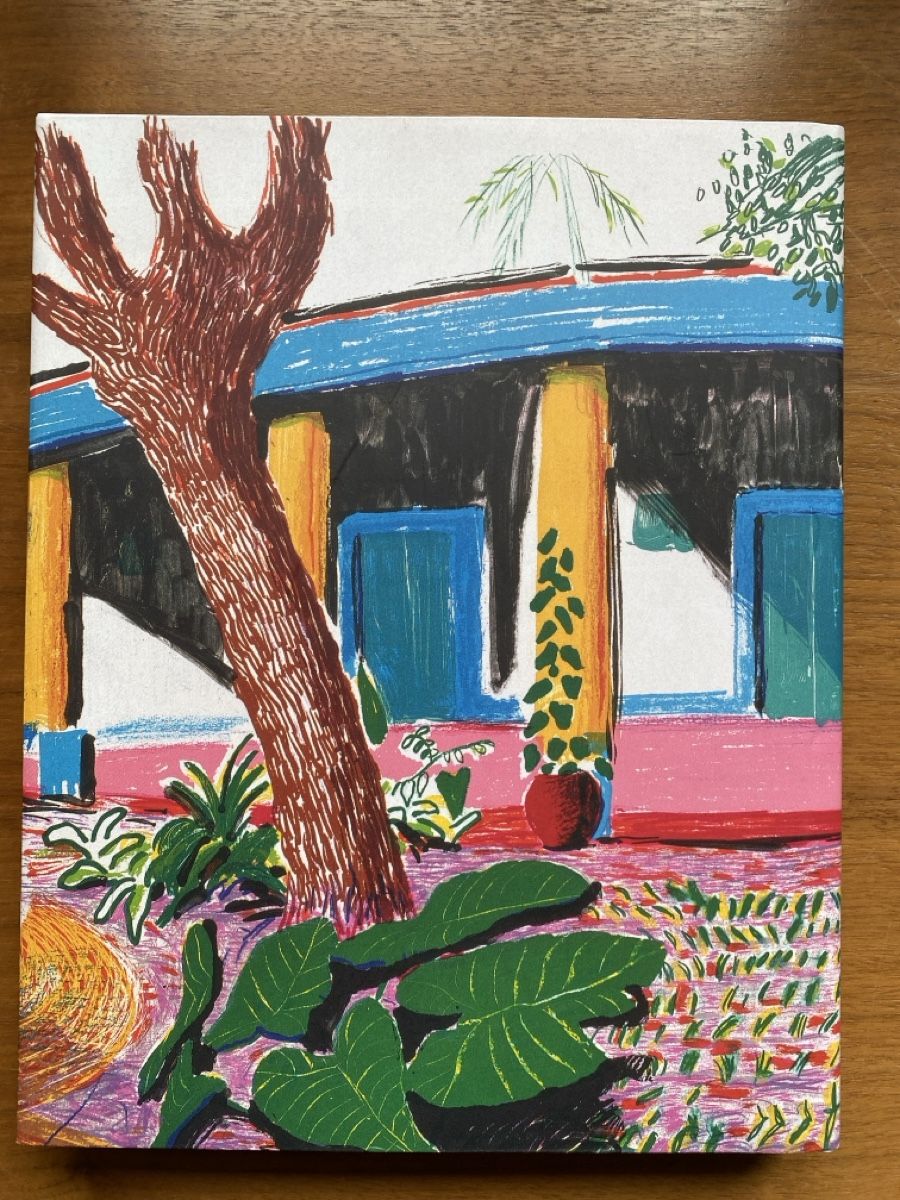 Libri: David Hockney Moving Focus - Tate Collection – Usato da Zürich venduto da ann_9fv5 4