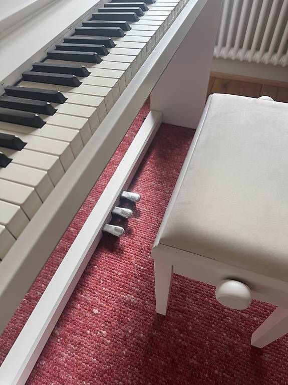Strumenti musicali: Roland FP 30X E-Piano - Keyboard – Usato da Basel venduto da Ducati620 1