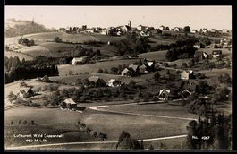 AK Wald /Appenzell, Teilansicht mit Wiesen