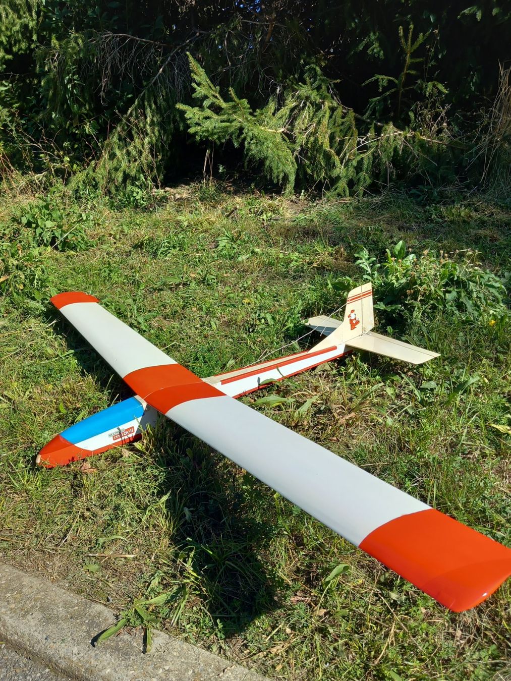 Multiplex RC Modellbau: RC Modell Multiplex Filius – Gebraucht aus Givisiez von Reiffel