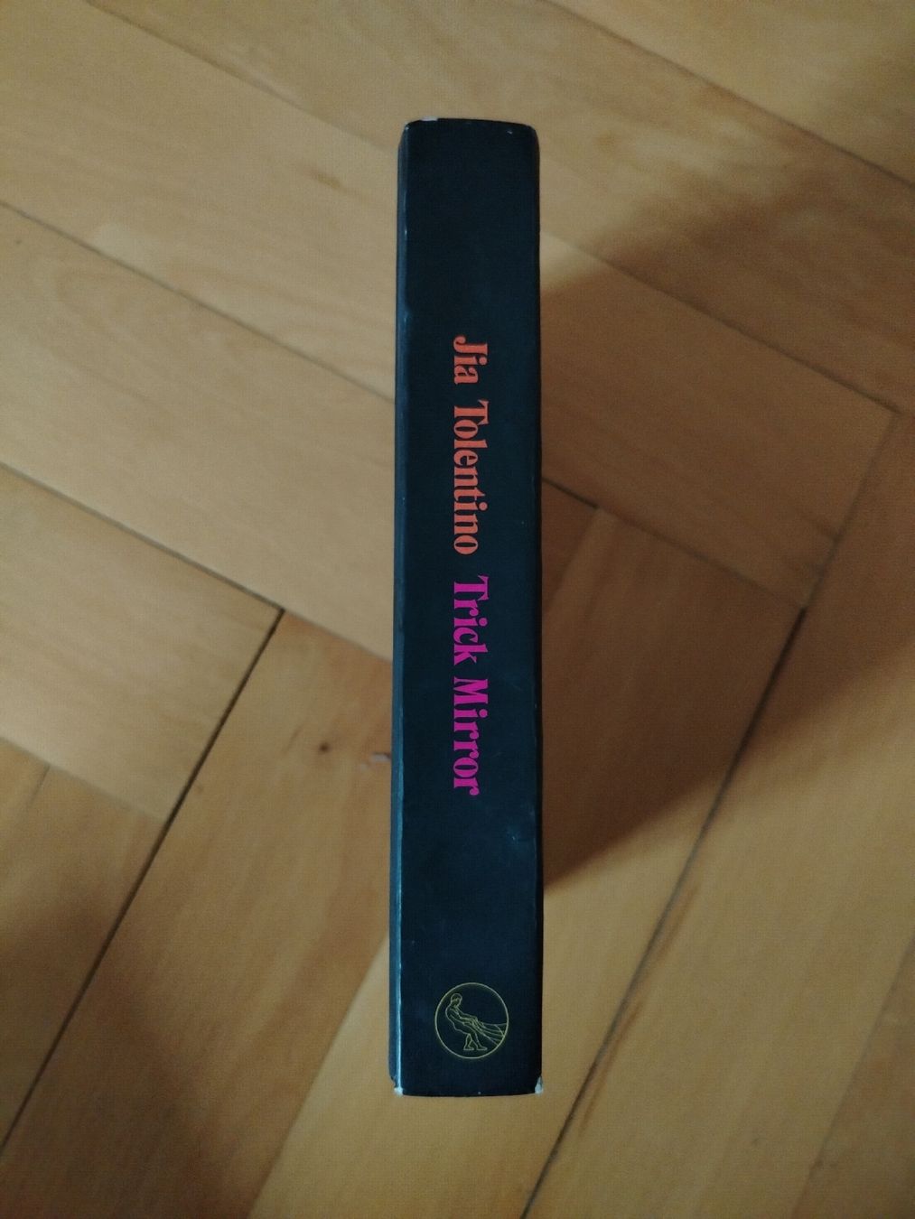 Libri: Jia Tolentino - Trick Mirror – Usato da Bern venduto da schly2 1