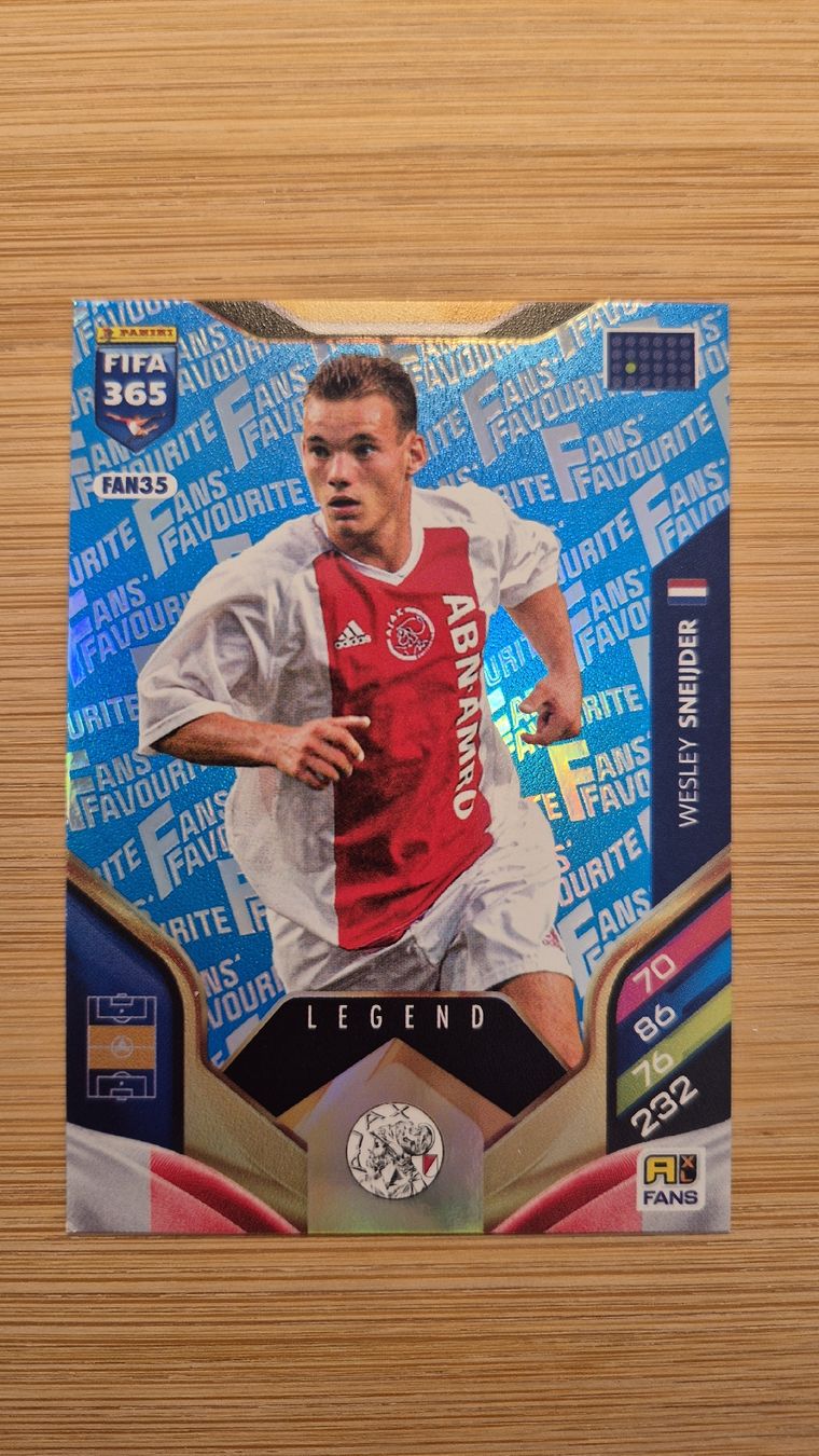 Panini Carte collezionabili: Panini FIFA 365 Wesley Sneijder – Usato da Bellach venduto da IceCards-80