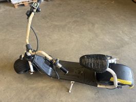 E-Scooter für Bastler 