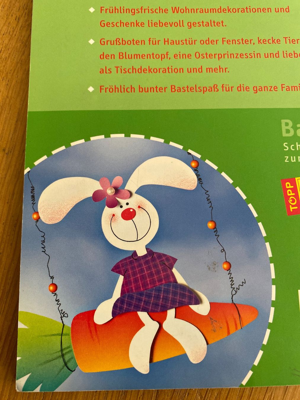 Bücher: Bastelbuch Fensterbilder – Gebraucht aus Bleienbach von Dbeno 1