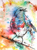 Tusche Zeichnung: Vogel VII