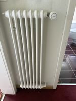 Klassischer Stahl-Rippenheizkörper mit Danfoss-Thermostat – 
