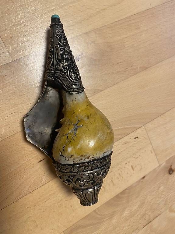 Fossili: Muschelhorn  – Usato da Wald ZH venduto da iml_5pqn 2