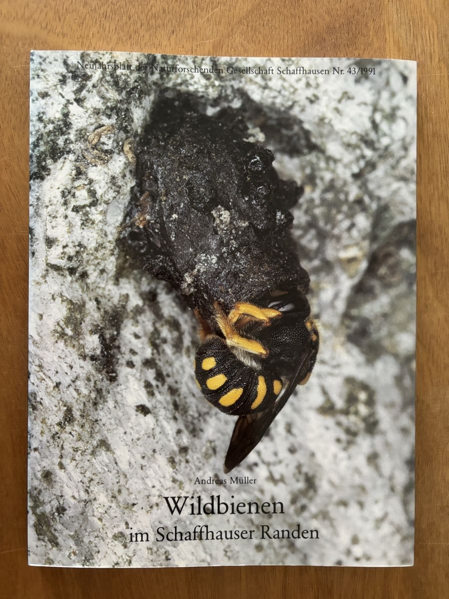 Libri: Wildbienen im Schaffhauser Randen – Usato da Zürich venduto da WWehrle