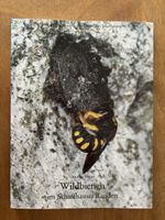 Wildbienen im Schaffhauser Randen
