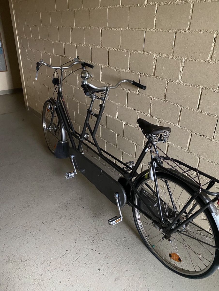 Gazelle Biciclette: Tandem Velo mit alten Brooks Sätteln – Usato da Solothurn venduto da damomami