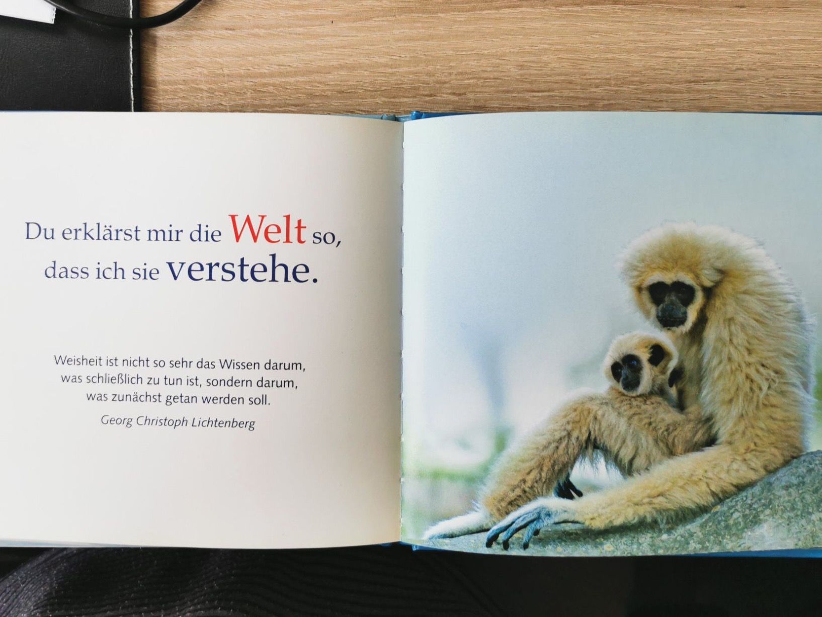 Libri: Buch "Opa, du bist spitze" / Renate Teplan – Usato da Sirnach venduto da pius062 1