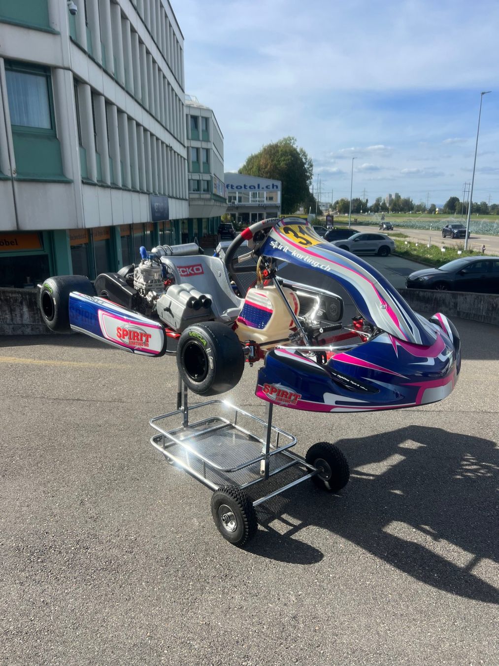 Go-Kart: Rennkart – Usato da Zürich venduto da calhoun 8