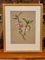 Antikes botanisches Aquarell Zweig signiert 1888