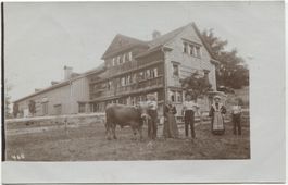 LANDWIRTSCHAFT/BAUERNHAUS/WEBERHAUS 1910 mit Stier Waldstatt
