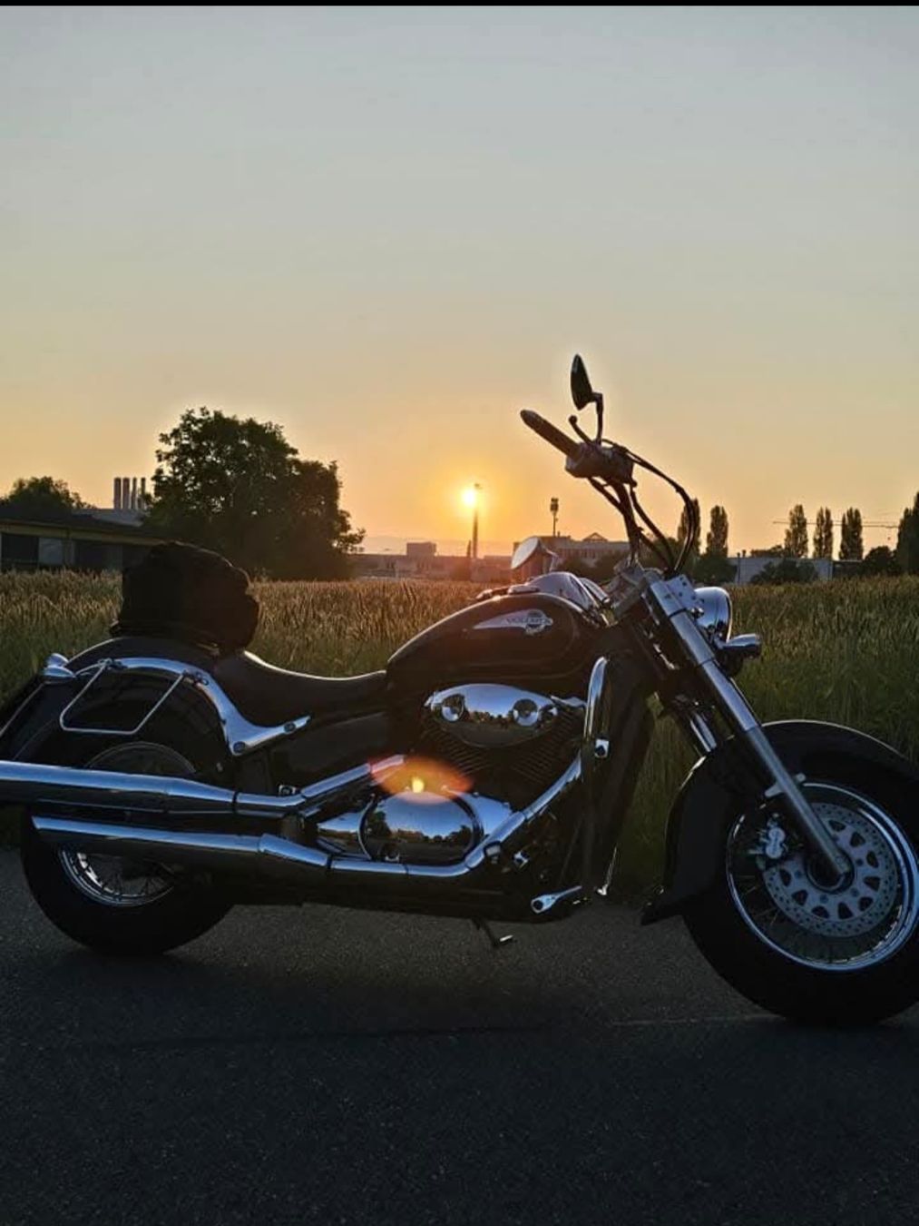 Chopper: Suzuki VL800 Volusia,Top Zustand – Gebraucht aus Rheinfelden von mar_fjh6