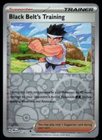 Pokemon Black Belt's Training 097/131