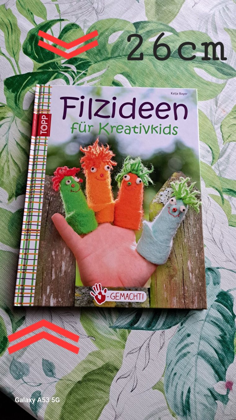 Libri: Tolles Buch Für Filz Einsteiger – Usato da Plagne venduto da Reticulum01 4