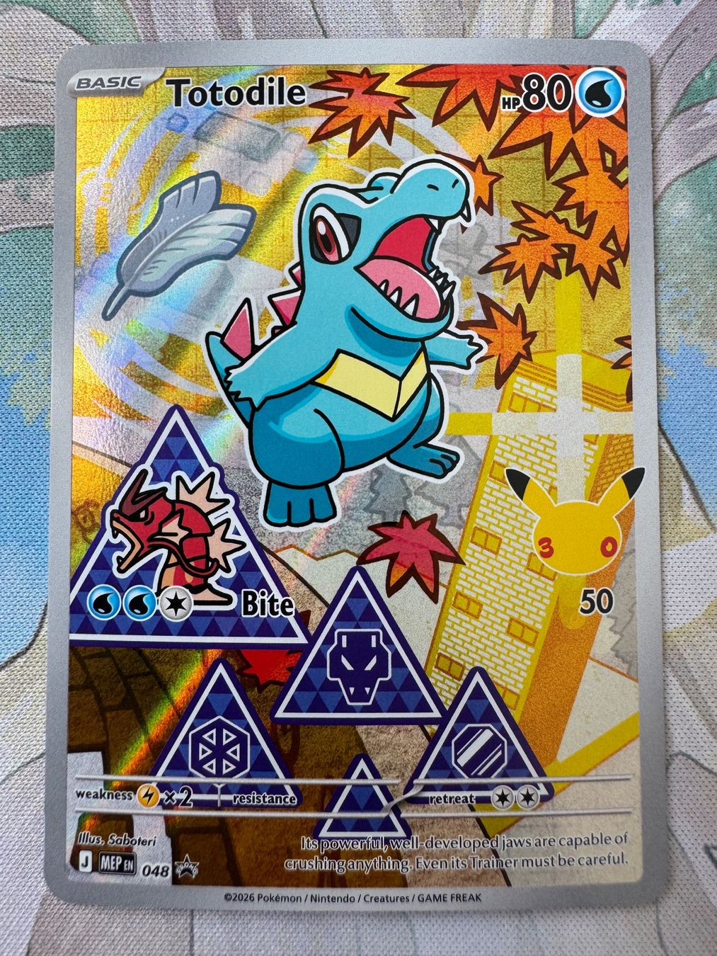 Pokémon Carte collezionabili: First Partner Series 2 - Johto Starter Set - Near Mint – Nuovo (secondo la descrizione) da Oberwil BL venduto da Chelsea26 5