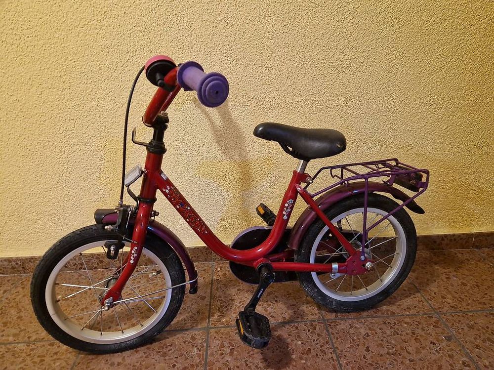 trekkingrad pegasus damen E-Bike Trekking Pegasus Estremo Evo 12 Lite Damen 2026 main image 1