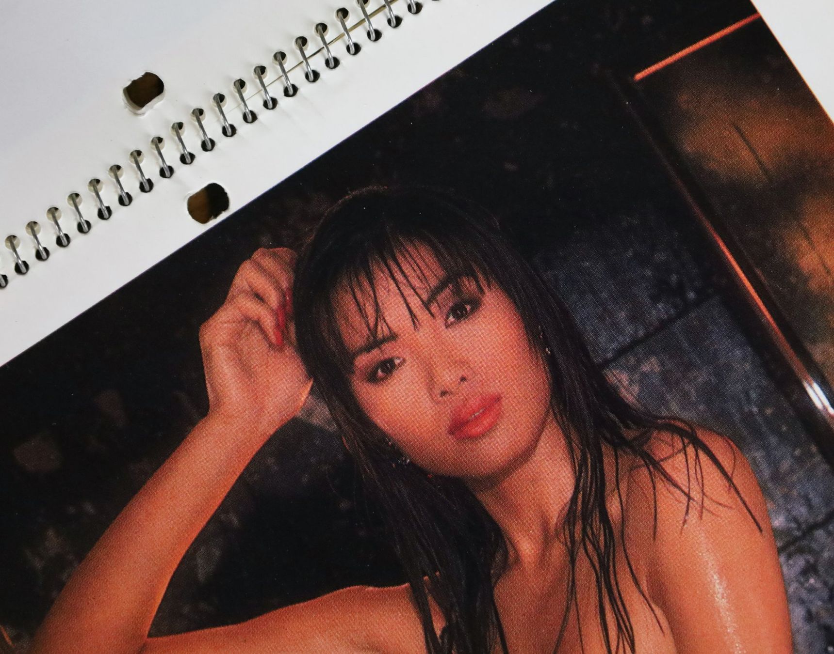 Playboy Calendari: PLAYBOY Kalender 1990 mit Erika Eleniak – Usato da Birrwil venduto da brandschatz_birrwil 6