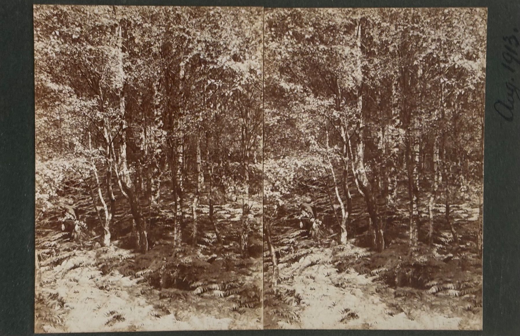 Ansichtskarten: Uralte private Stereofoto, um 1900 – Gebraucht aus Frauenfeld von Merk52