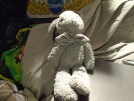 Hase grau/graue Masche, Histoire de Ours
