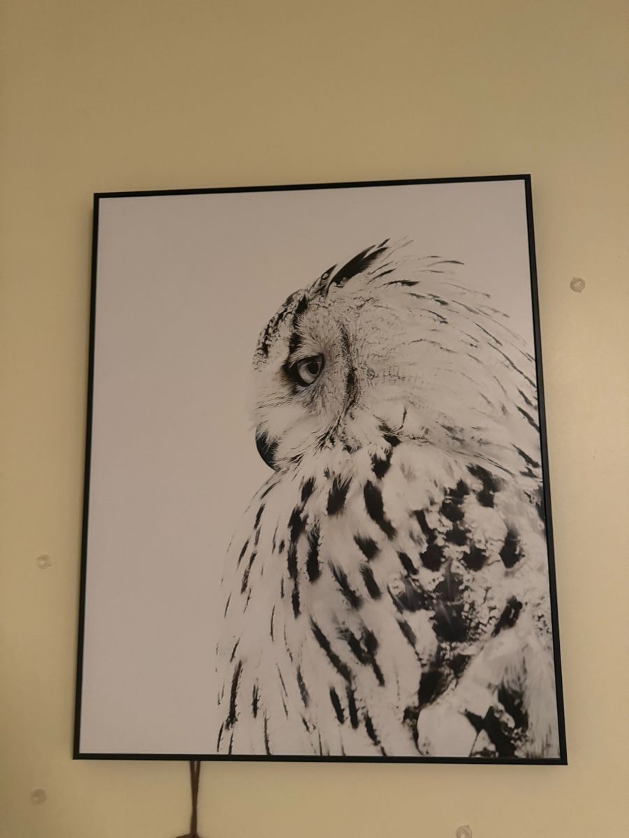 Foto & Immagini: Poster encadrée – Nuovo (secondo la descrizione) da Remigen venduto da vil_d687