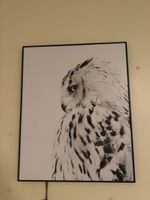 Poster encadrée
