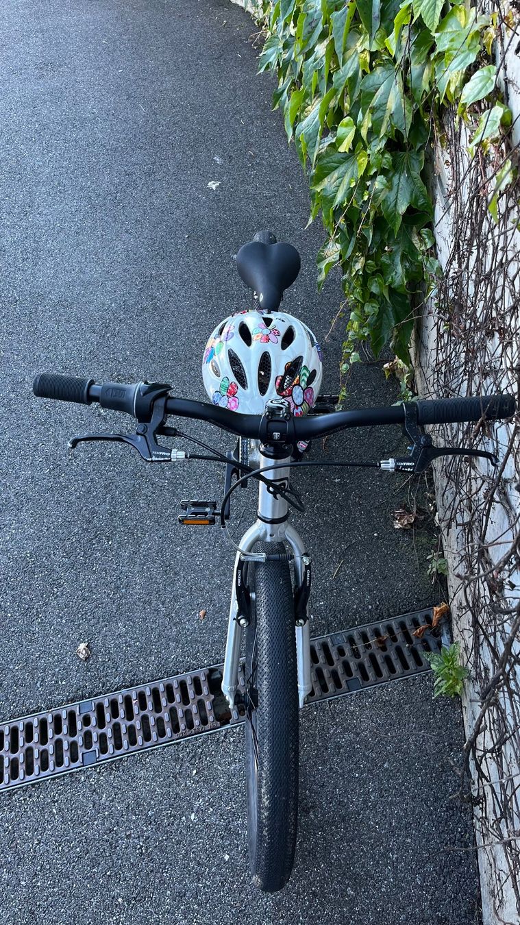 Early Rider Biciclette: Early Rider 20" – Usato da Thalwil venduto da yordankajp 1