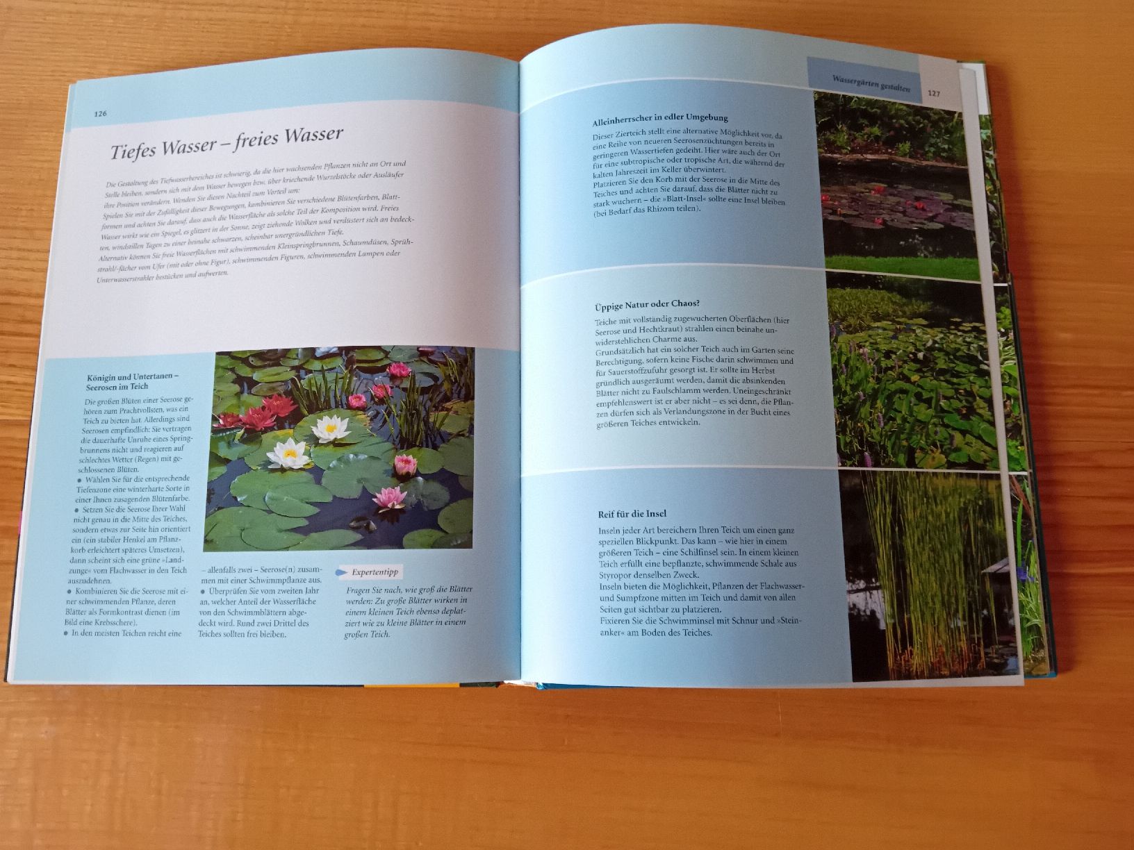 Libri: Gartenbuch "Wasser-Garten" – Usato da St. Ursen venduto da Su_Vo-Bi 2