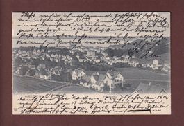 HEIDEN - Teilansicht - 1904