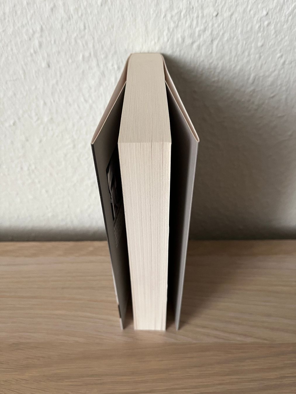 Libri: Damnés - Chuck Palahniuk – Usato da Petit-Lancy venduto da cinrox 3