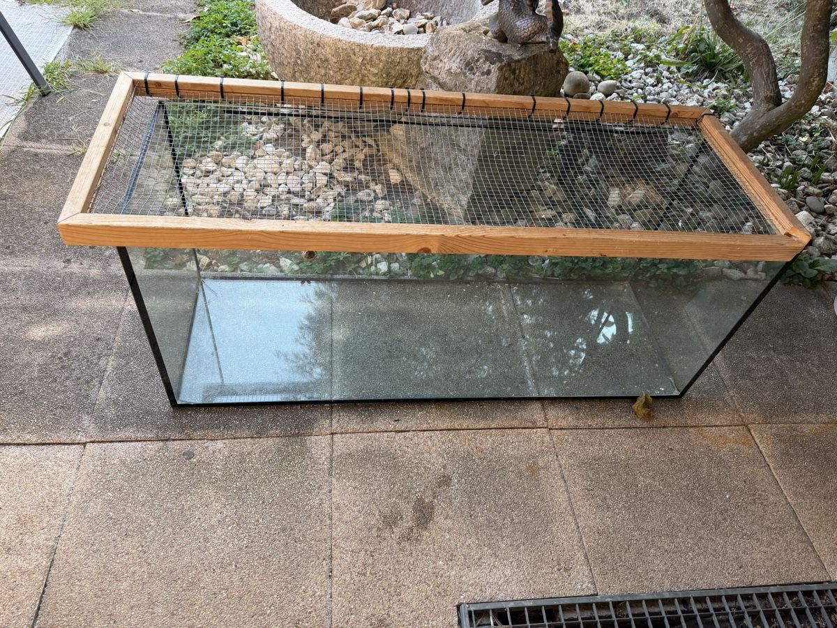 Terrarium: Terrarium – Gebraucht aus Hofstetten SO von Elbi