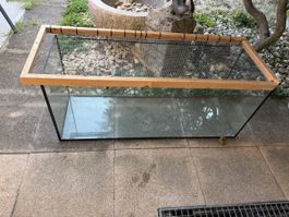 Terrarium