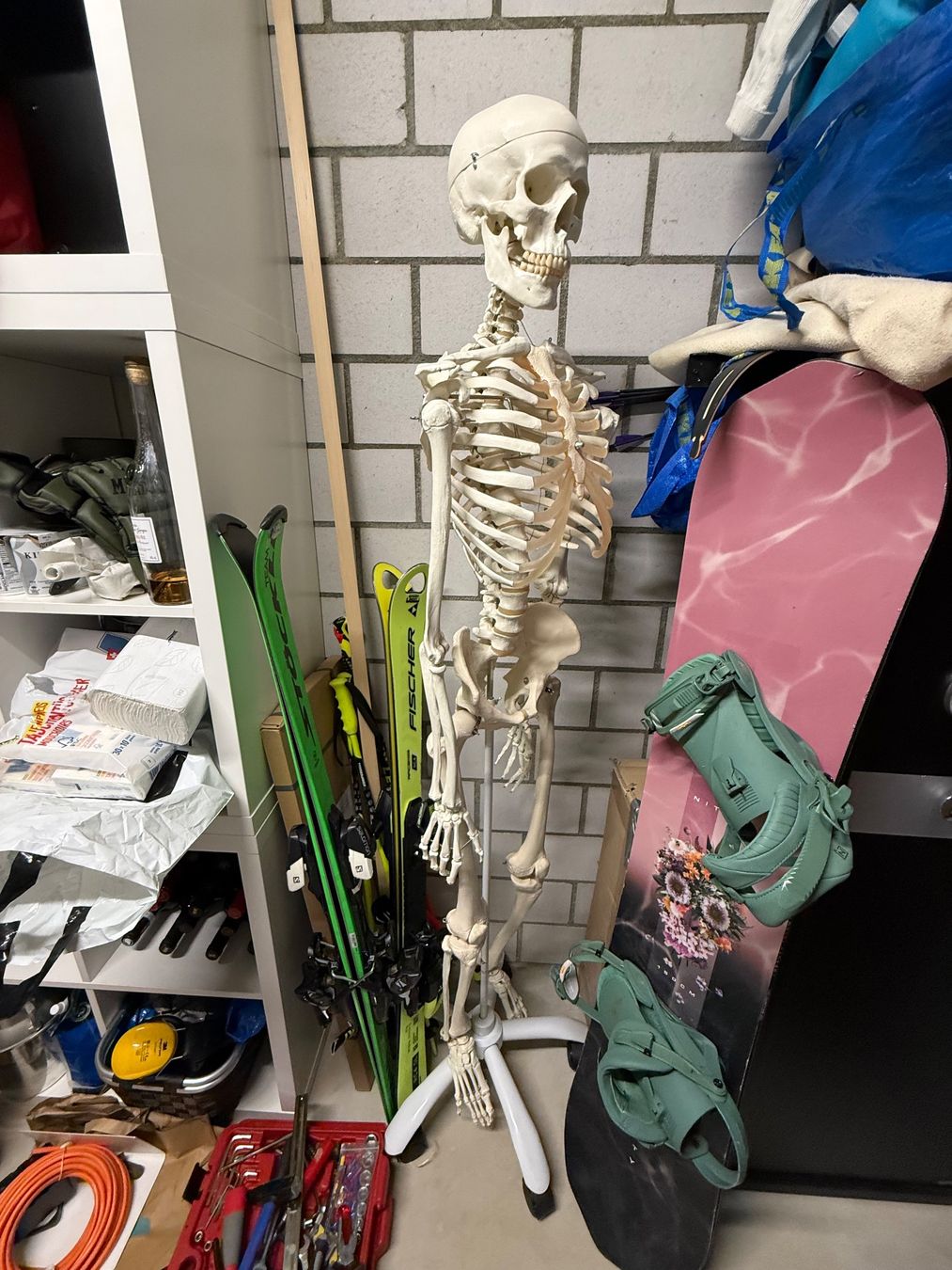 Kits de montage: Anatomie-Skelett – D'occasion à Trin par soldout01