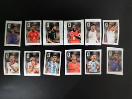 12 Coca-Cola Panini FIFA WM 2026 Sticker komplett