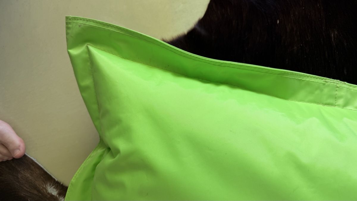 Fatboy Cuscini: fatboy Sitzsack grün – Usato da Kirchberg BE venduto da pimposchinder 5