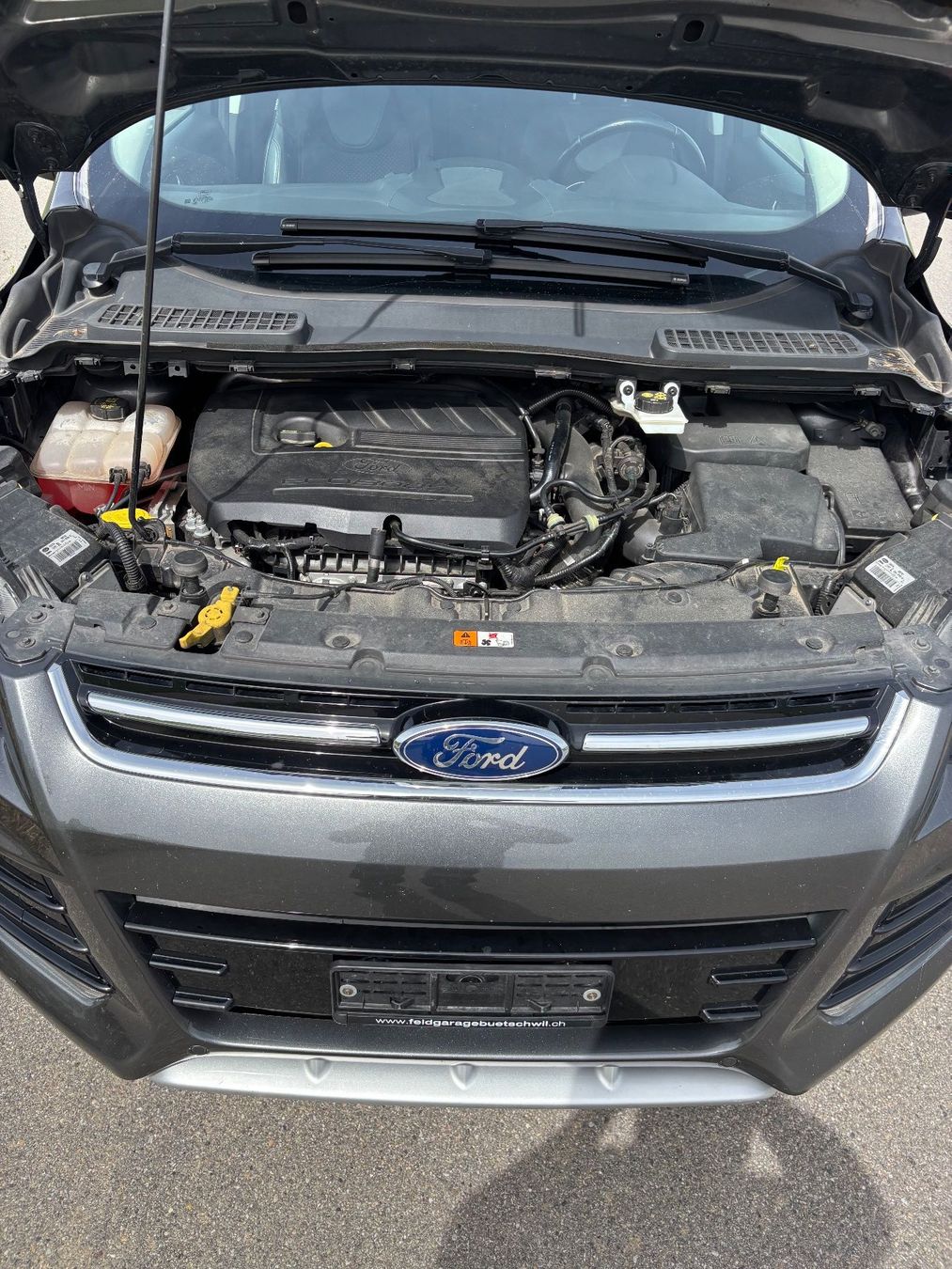 Ford Automobili: Ford Kuga 1.5 SCTi 4/4 – Usato da Ganterschwil venduto da rol_td6r 6