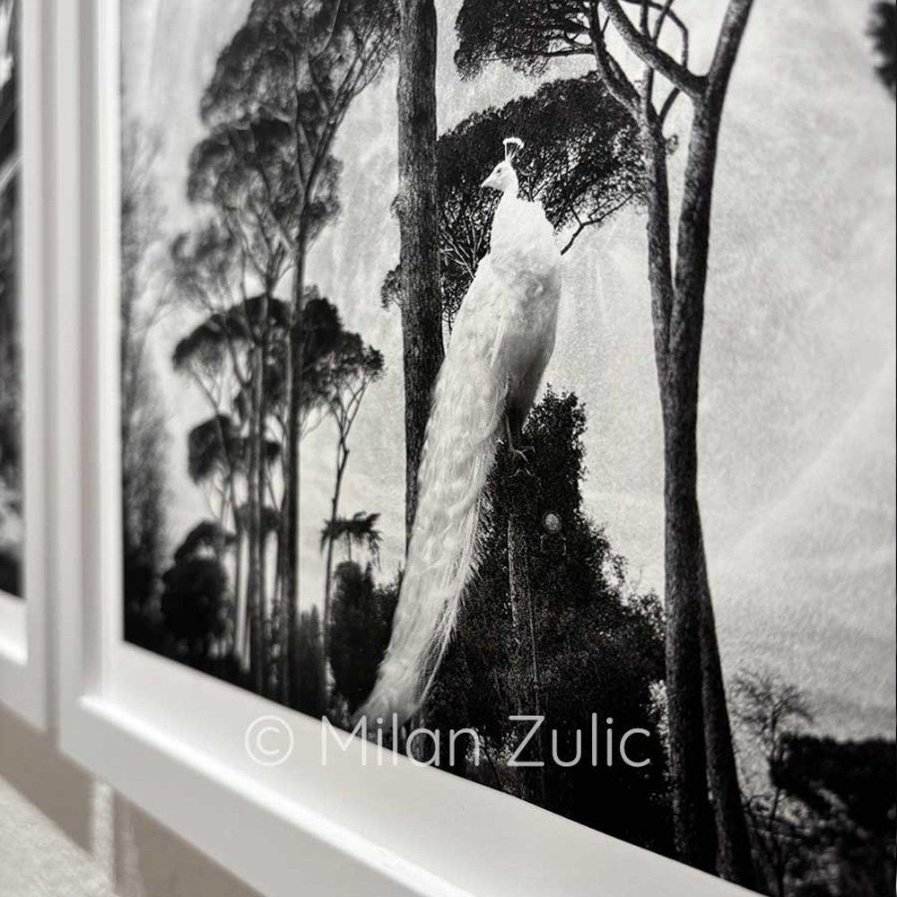 Foto & Immagini: Travel postcards 0044 – Nuovo (secondo la descrizione) da Uetikon am See venduto da mil_7k2b 2