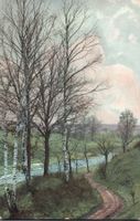Alte Ansichtskarte: Frühlingslandschaft mit Birken! Top