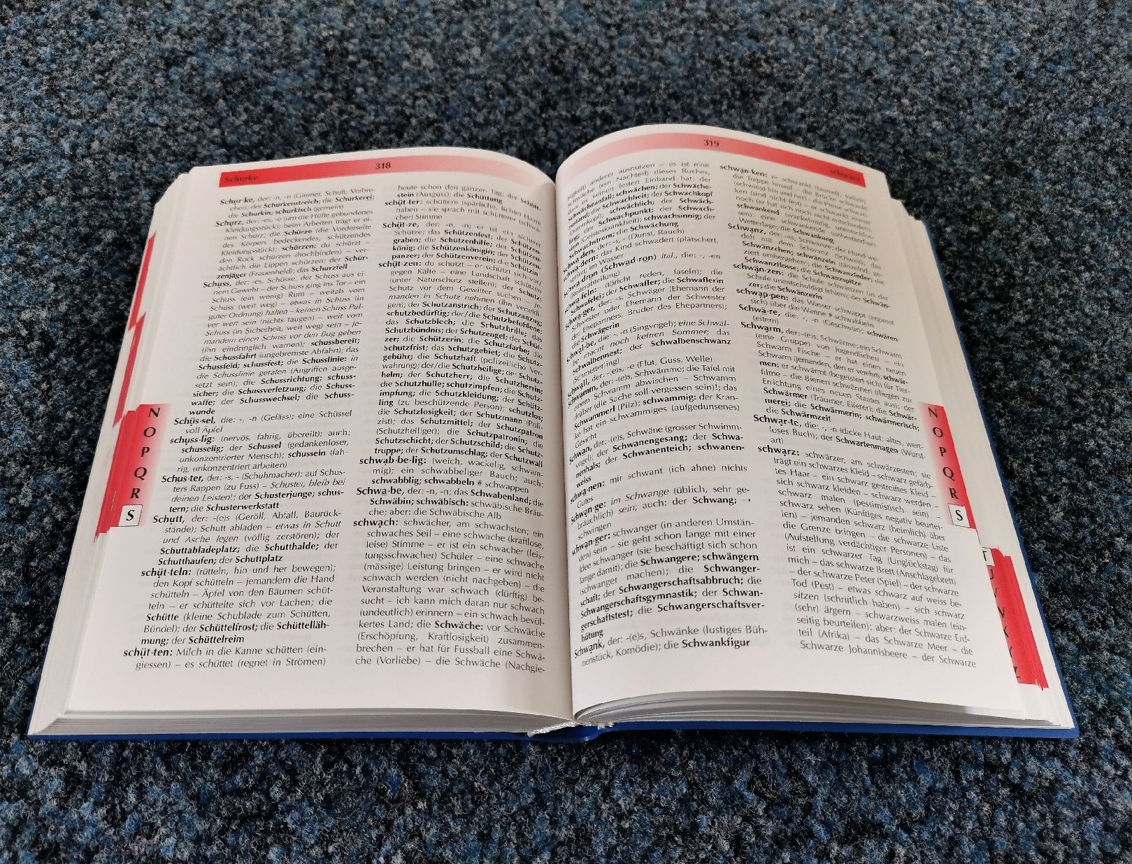 Libri: Buch 'Wortprofi' – Usato da Obergerlafingen venduto da Sigus 2